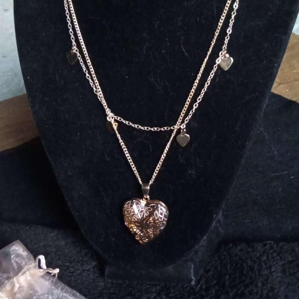 Fashion Jewelry Heart Locket Necklaces for Sawyer Rescue